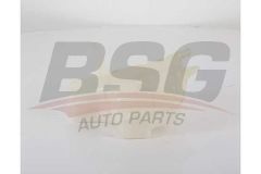 Chevrolet Evanda 2.0 Dizel Motor Yedek Su Deposu BSG Marka