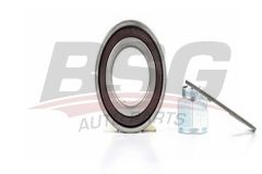 Citroen C2 2003-2009 Ön Porya Bilyası Bsg Marka 335086