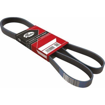 Volkswagen Golf 7 V Kayışı / Alternatör Kayışı 1.6 TDI 115 Beygir 2013-2020 GATES