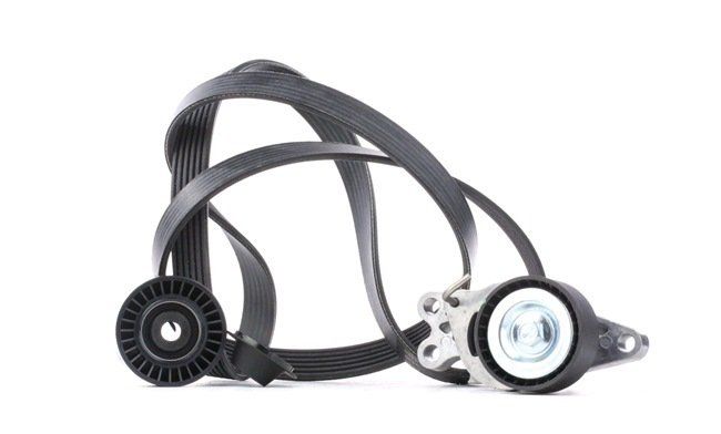 Peugeot 206 Plus 1.4 Benzinli Alternatör Kayış Kiti Orjinal