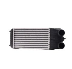 Peugeot 207 2006-2012 1.6 Hdi İntercooler Radyatörü Kale Marka